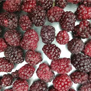 Frozen blackberry