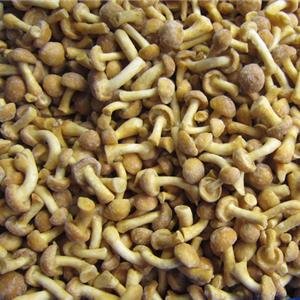 Frozen Nameko