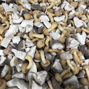 Frozen Mix Mushrooms